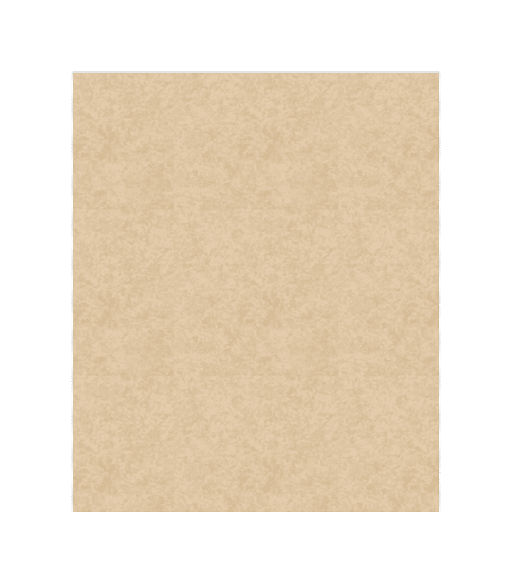 10 x 12 Portrait Photo Mount 1 x 1